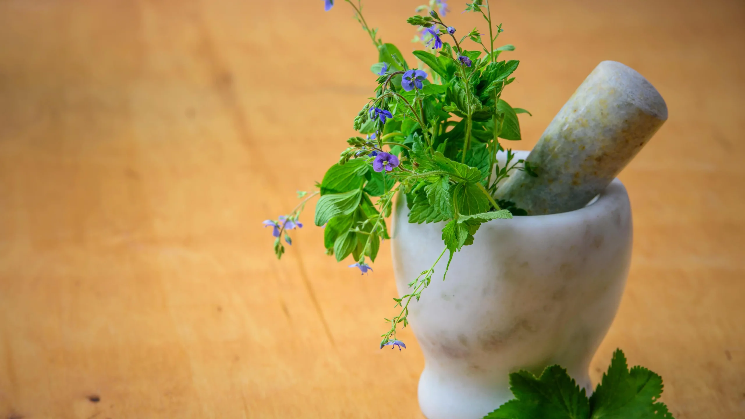 Herbs in mortar and pestle for yeast infection natural treatment