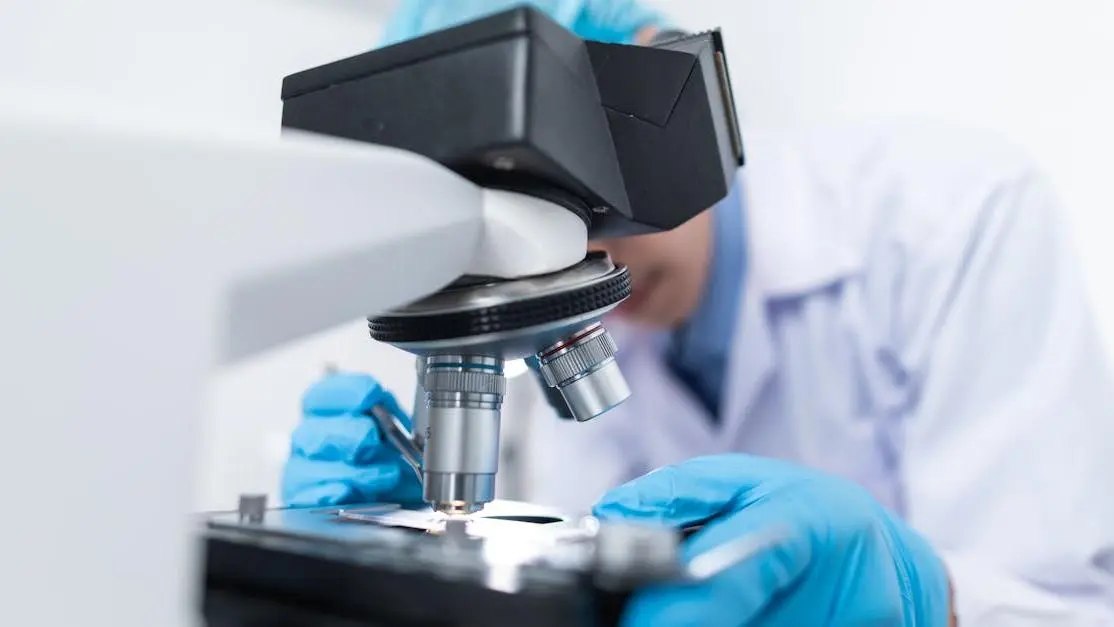 Scientist examining boric acid suppositories under microscope