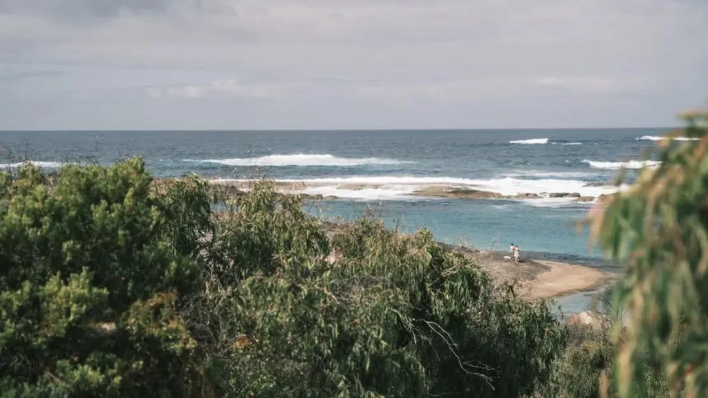 Stormy ocean horizon with green trees, related to menopause and yeast infections