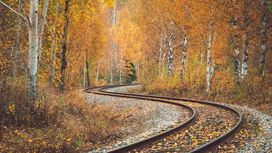 Railroad tracks through autumn birch forest - Causes of Menopause