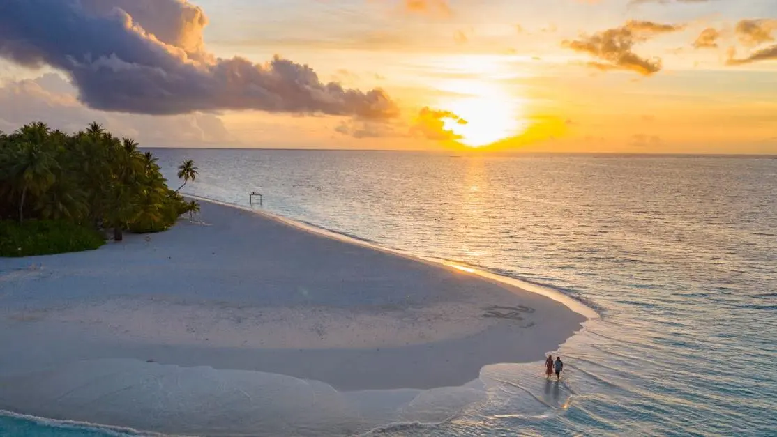 People exercising on the beach during sunset, showcasing exercise and mood stabilization.