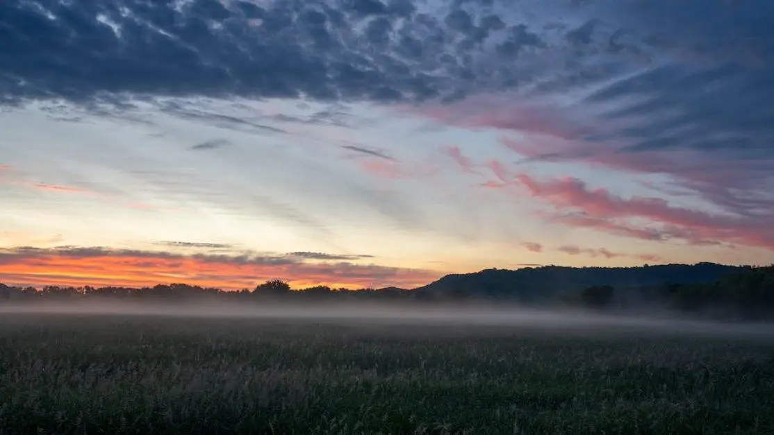 Sunrise over a foggy field, symbolizing new beginnings with Hormone Replacement Therapy