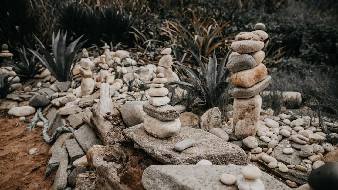 Pyramids of stones near green plants in a tropical garden illustrating Hormones and Bone Health during menopause.