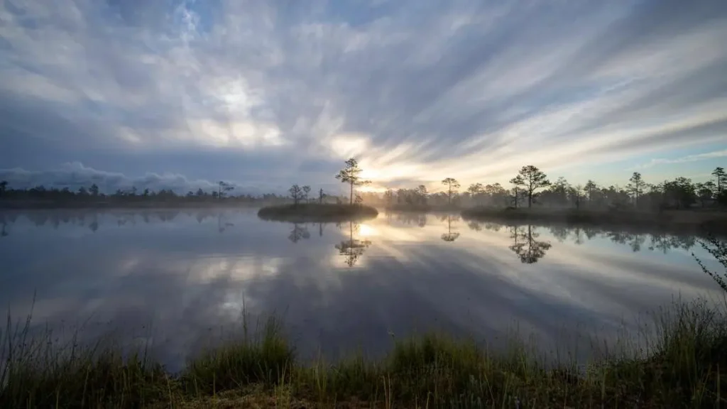 Sunrise over bog symbolizing relief and hope for how to fix vaginal dryness menopause