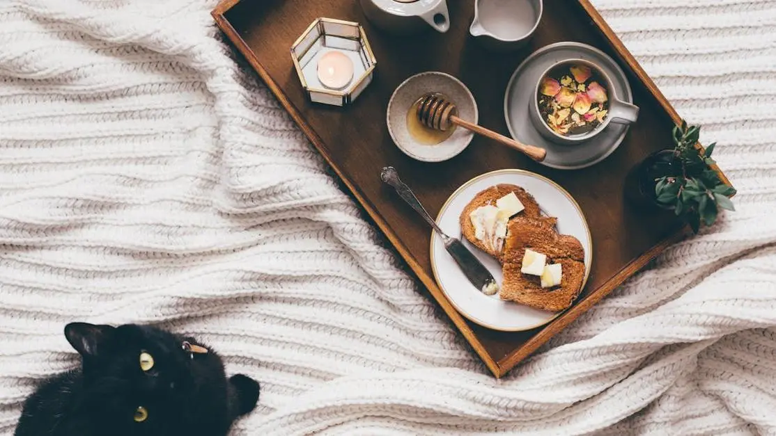 Homemade breakfast on tray near cat; managing night sweats with dietary changes