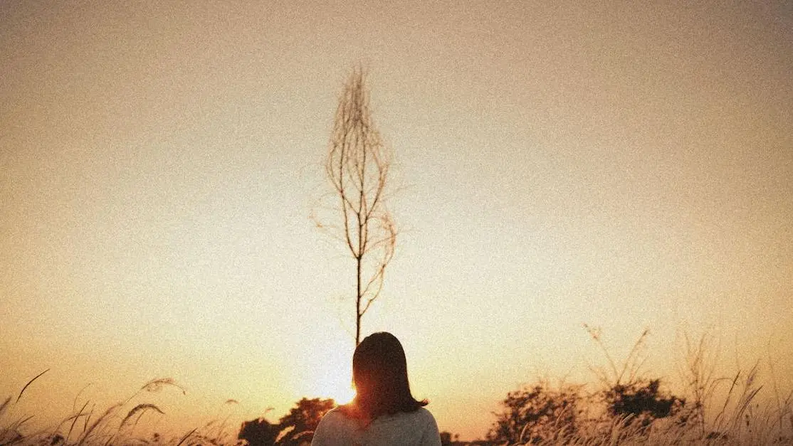 Tourist enjoying sunset in countryside field, representing Menopause and Aging themes.