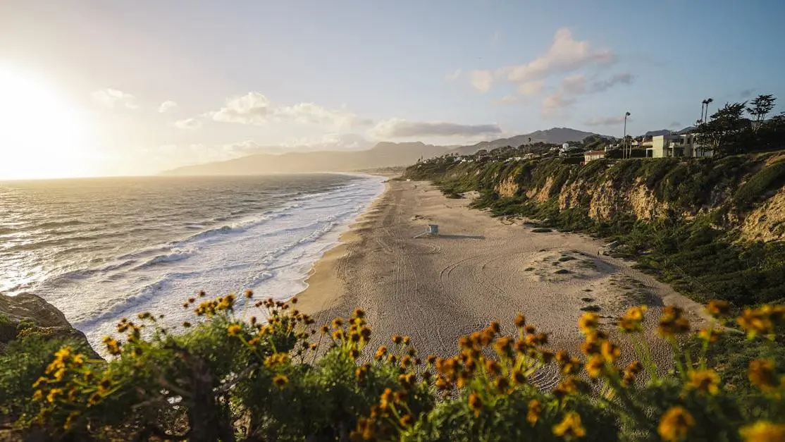 Sunset on a beach with flowers, depicting tranquility amid menopause anxiety.