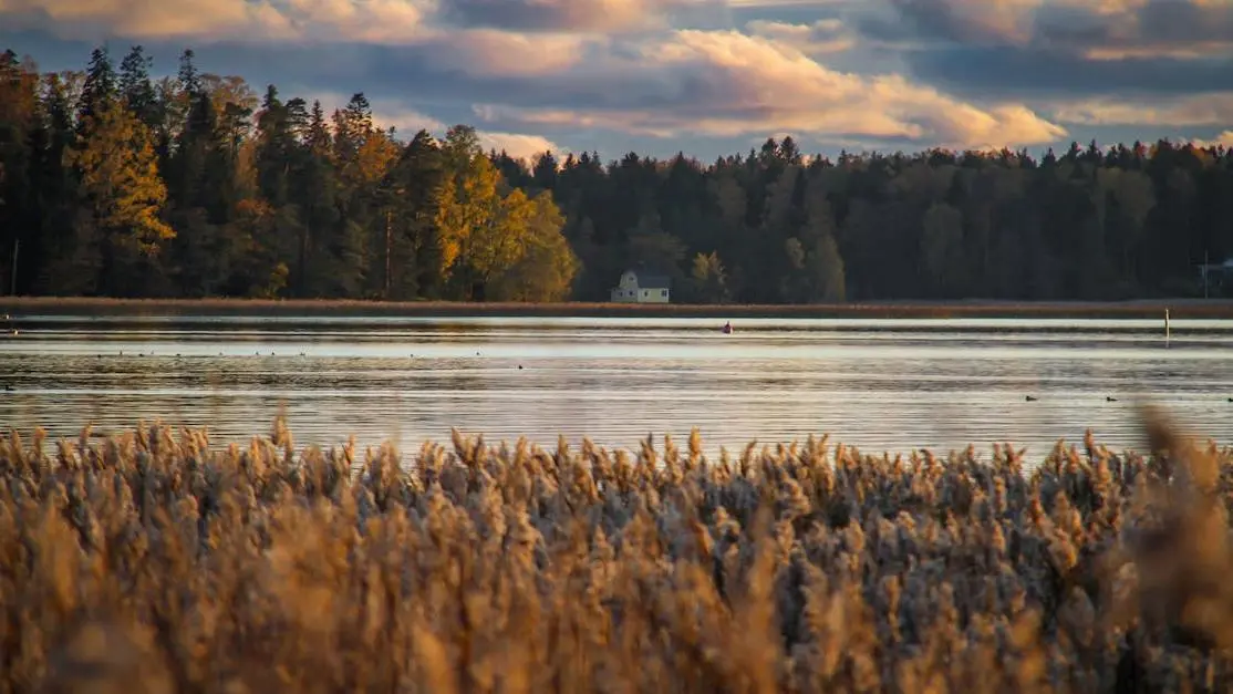 Serene sunset landscape reflecting mood swings during menopause