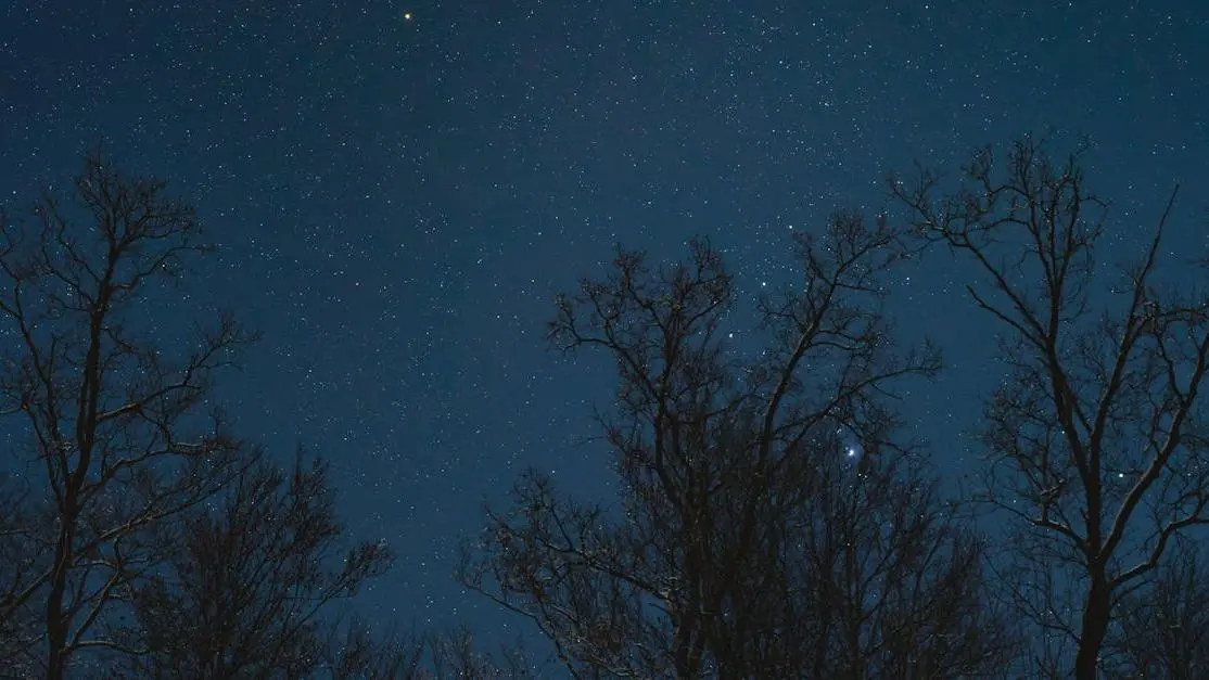 Natural Supplements for Night Sweat Relief Amid a Starry Winter Night