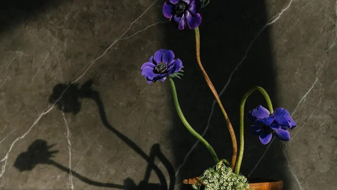 Purple flowers in a wooden bowl representing the stages of menopause.