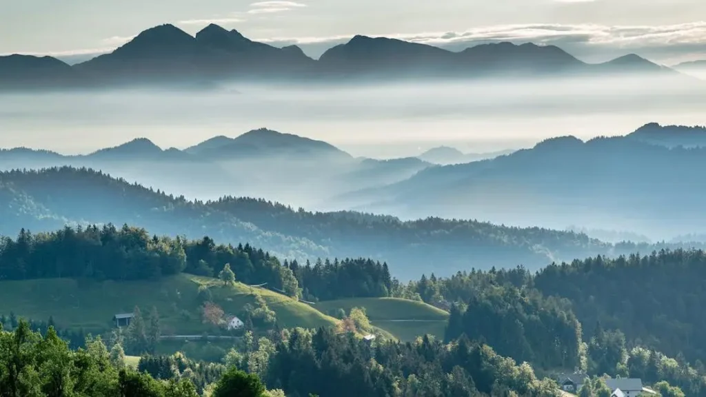 Serene mountainous valley with evergreen forest and misty sky - vitamins for menopause hot flashes article cover.