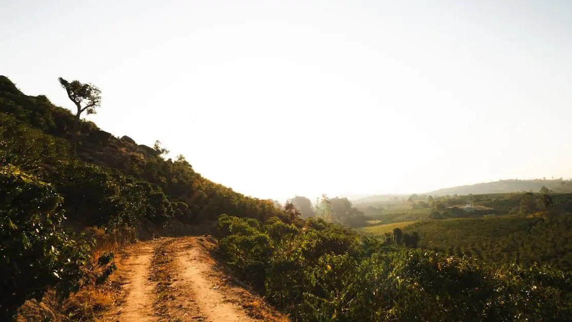 Serene landscape symbolizing how Berberine helps stabilize blood sugar amidst lush hills at sunrise.