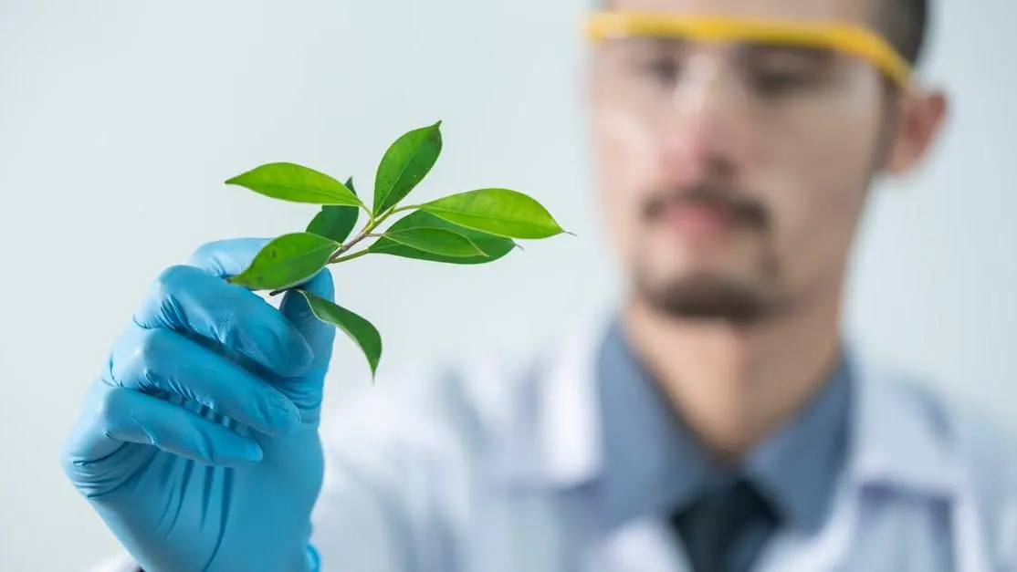 Young scientist analyzing plant sample in lab, researching methods for reducing insulin resistance.