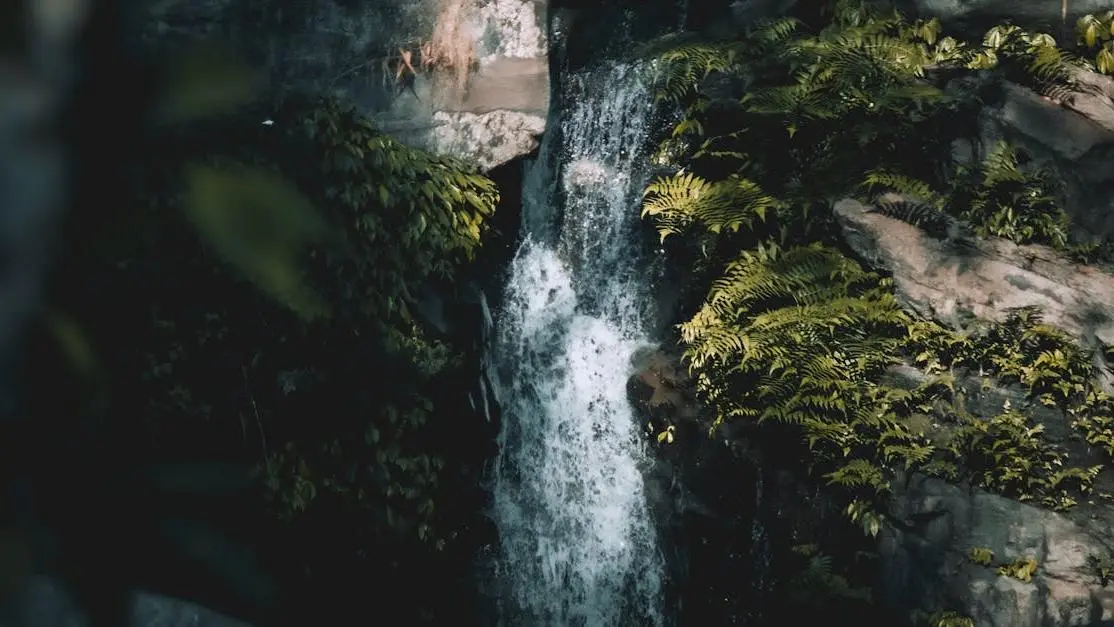 Waterfall in serene forest symbolizing natural flow of GLP-1 Weight Loss journey.