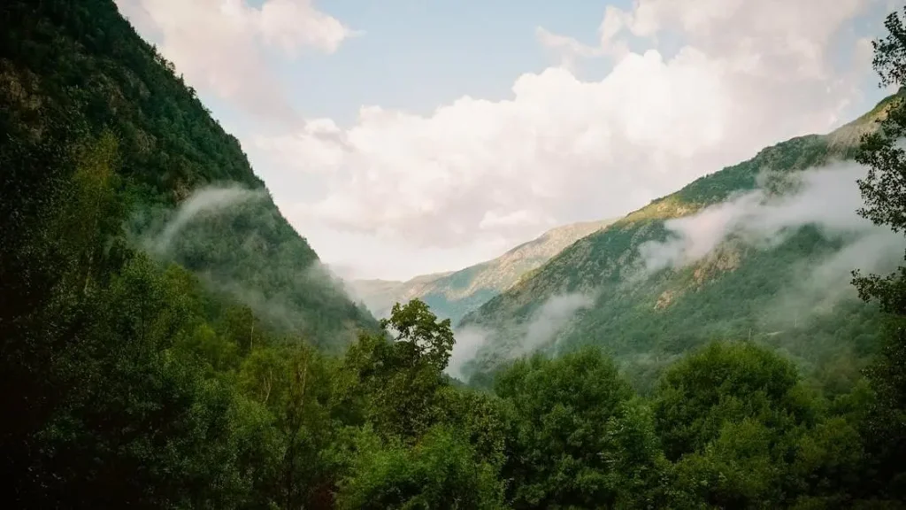 Serene landscape symbolizing how GLP-1 Receptor Agonists support sustainable weight loss.